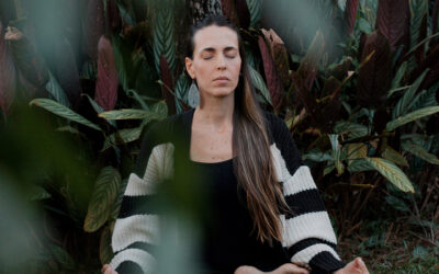 Para começar a meditar . antes de 2026